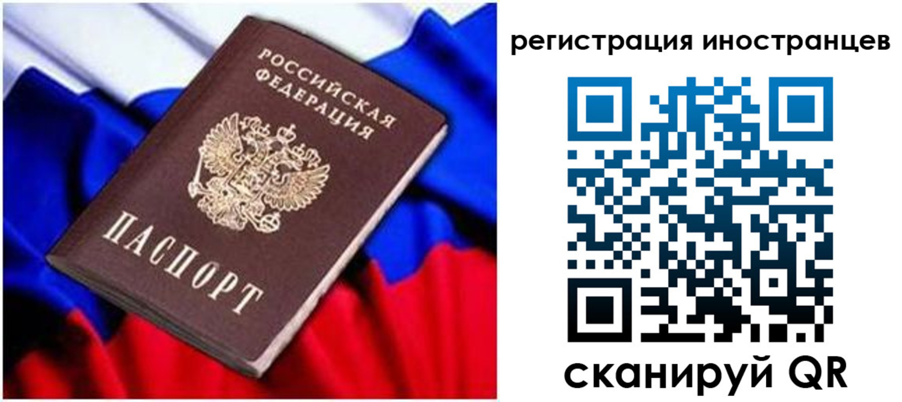 прописка для школы в Курске