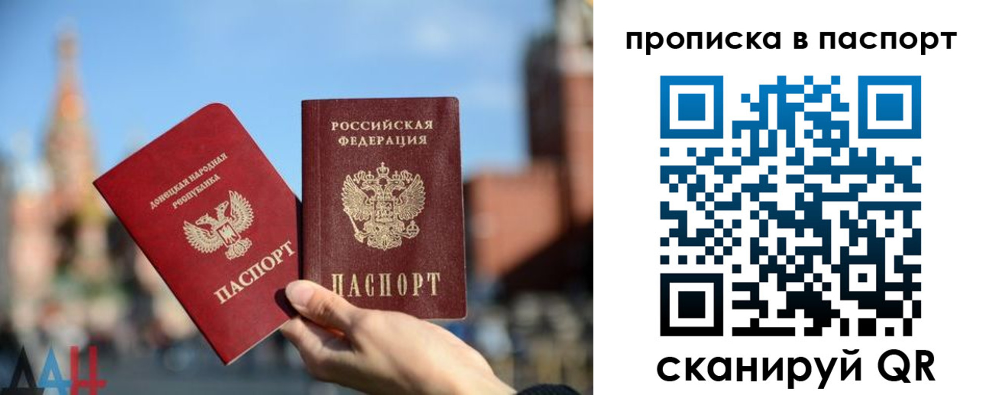 прописка для работы в Курске